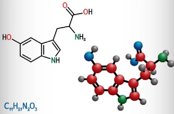 5-HTP illustration